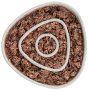 Gamelle Anti-glouton pour Chat