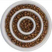 Gamelle Anti -Glouton Slow Feeding