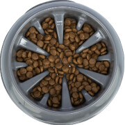 Gamelle Ronde Anti-glouton Slow Feeding 