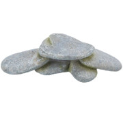 Plateau en pierre Reptile & Poisson