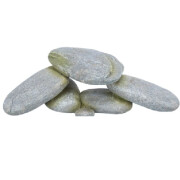 Plateau en pierre Reptile & Poisson