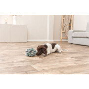 Tapis de fouille pour Chien