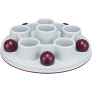 Jeu interactif chat Pentagon 