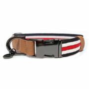 Collier Bouledogue Français : Héritage Tricolore