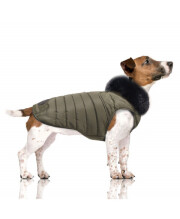 Manteau doudoune chien BASILE Kaki