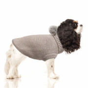Pull pour petit chien CAMILLE beige