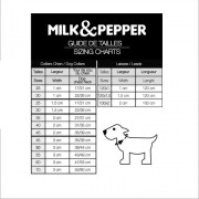 Collier luxe, original, chien en cuir camel