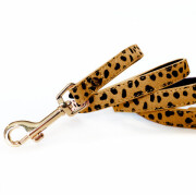 Collier luxe, original, chien en cuir camel