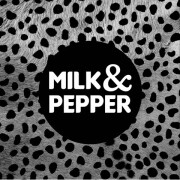 Collier pour chien luxe, original en cuir gris 