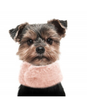 Echarpe pour chien JIAN Rose