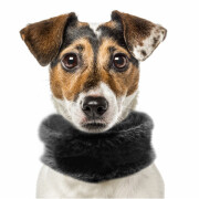 Echarpe pour chien TANYA noir