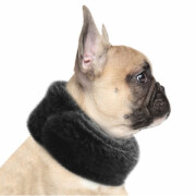 Echarpe pour chien TANYA noir