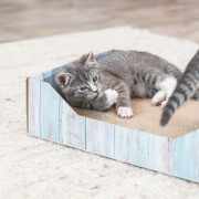 Boite griffoir carton chat, Design