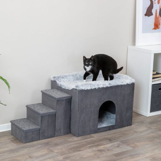 Maison Original pour chat avec escalier, Design