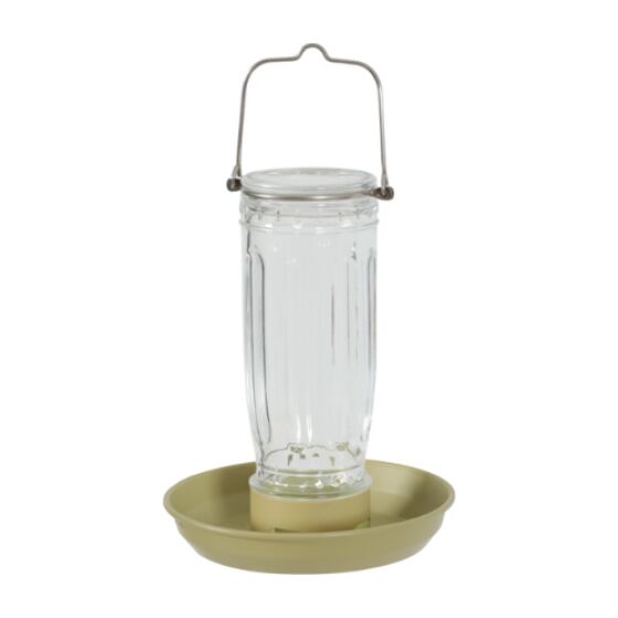 mangeoire lichen.png