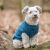 originals_PHO_IMAGE_DOG_PHO_IMAGE_DOG_Havaneser-Cody-Pullover-Kenton-Natur-5_#SALL_#AWK_#V1.jpg