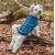 originals_PHO_IMAGE_DOG_PHO_IMAGE_DOG_Havaneser-Cody-Pullover-Kenton-Natur-5_#SALL_#AWK_#V1.jpg