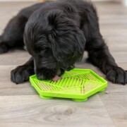 Tapis de léchage avec ventouse pour petit chien