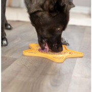 Tapis de Léchage Chien