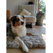 Coussin anti-stress pour chien, apaisant Poilu GRIS