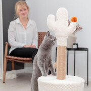 Griffoir Cactus Design pour chat, avec maison Original