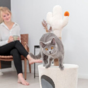 Griffoir Cactus Design pour chat, avec maison Original