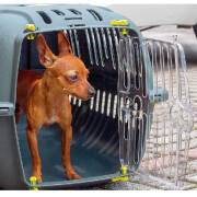 Cage de transport pour Chat JET