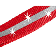 Collier fluo pour chien, fluorescent Reflex Rouge 