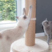 Arbre à chat original avec panier Boho