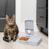 Distributeur automatique 2 repas pour Chat