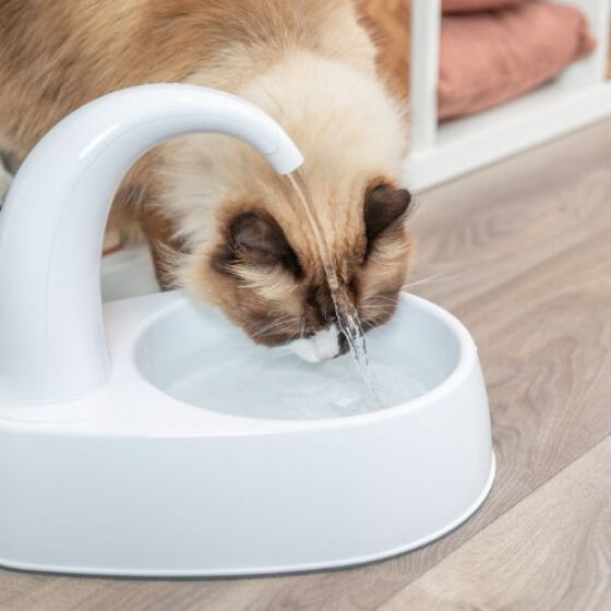 Fontaine effet robinet