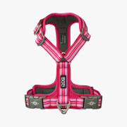 Harnais Walk Air confort anti traction, en Y  ROSE