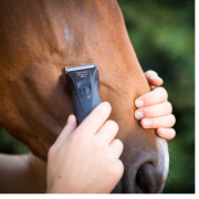 Tondeuse Adelar Pro pour Chevaux