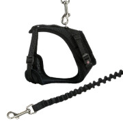 Harnais pour Maine Coon : L'unique harnais Maine Coon