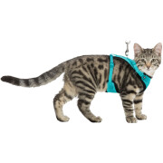 Harnais pour Maine Coon : L'unique harnais Maine Coon