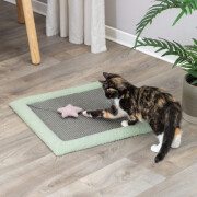 Tapis griffoir pour chaton avec jouet