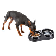 Gamelle double surélevée chien, facilite la digestion Duo Feed