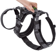 Harnais anti-fugue chien, 2en1 anti fugue, Safety Maldon