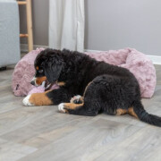 Panier orthopédique chien : mémoire de forme, couchage confortable Loki ROSE