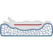 Panier orthopédique chien : mémoire de forme, couchage confortable Loki ROSE