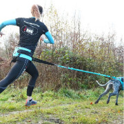 Ceinture baudrier ALM I-DOG pour canicross
