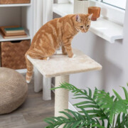 Poteau griffoir pour chat Baena