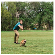 Frisbee résistant, flexible avec Son pour chien WHISTLE