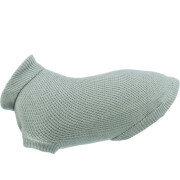 Meilleur Pull pour chien : Berlin Sauge