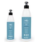 Huile de saumon pour chien