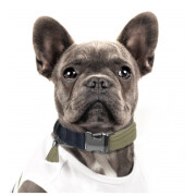 Colliers originaux pour Bouledogue Français Kaki, KAYA