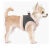 Harnais Eleonore petit chien, confort Maximum, Chihuahua