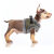 Harnais petit chien, Felix, chaud, confortable