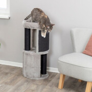 Arbre a chat Tour, Panier douillet, Original, Giorgia