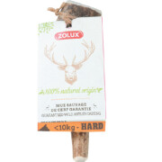 Bois de Cerf Entier XS pour petit chien